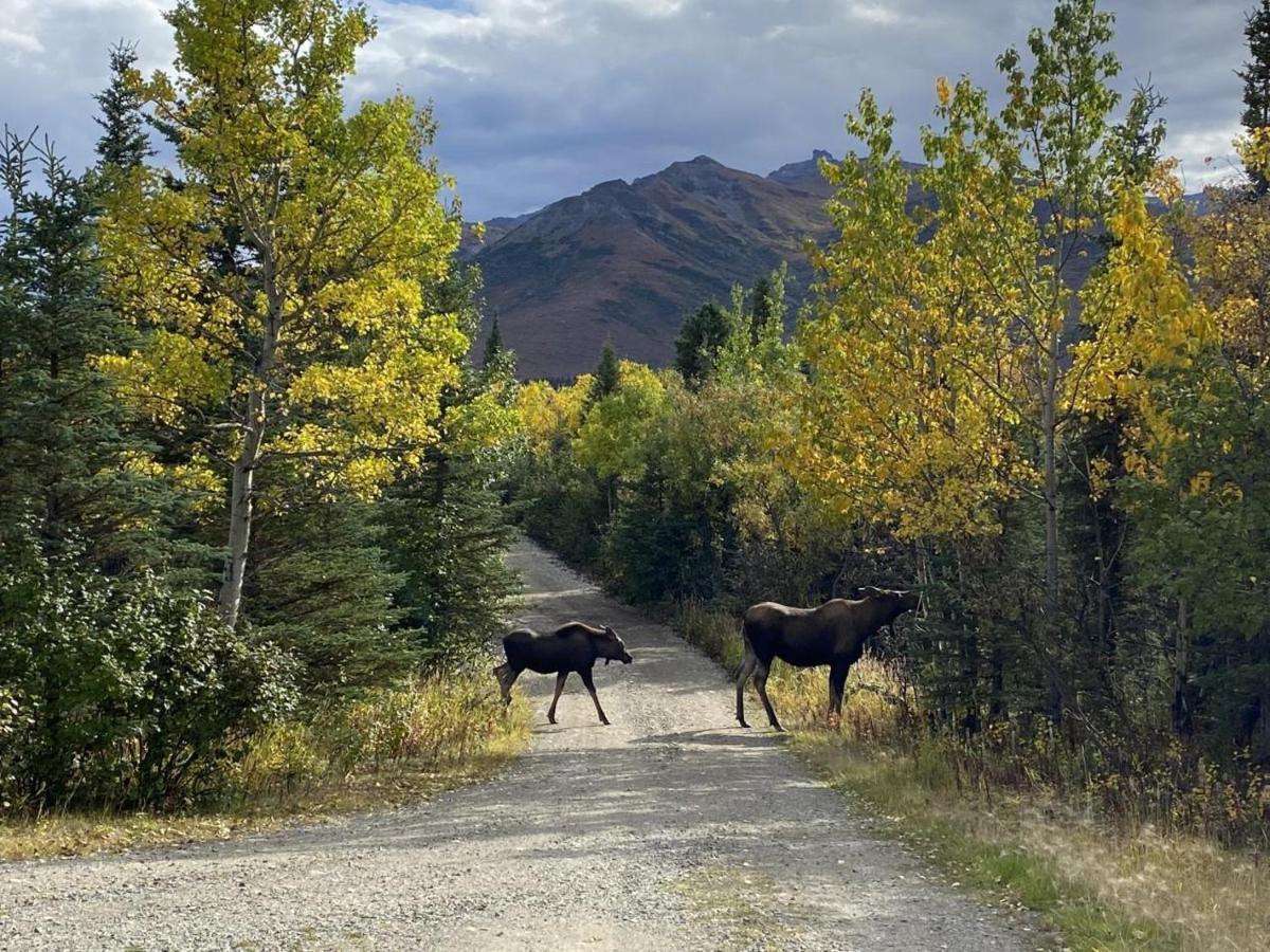 Denali Park View House Vila Healy Exterior foto